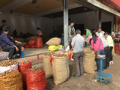 核桃表面光滑发白,核桃新货批发