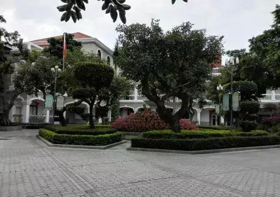 鼓浪屿游玩全攻略，以后别再说去鼓浪屿不知道怎么玩（建议收藏）