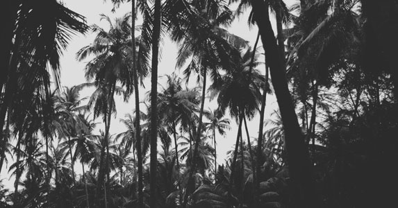 偷走棺材里的女尸,偷走棺材的女尸