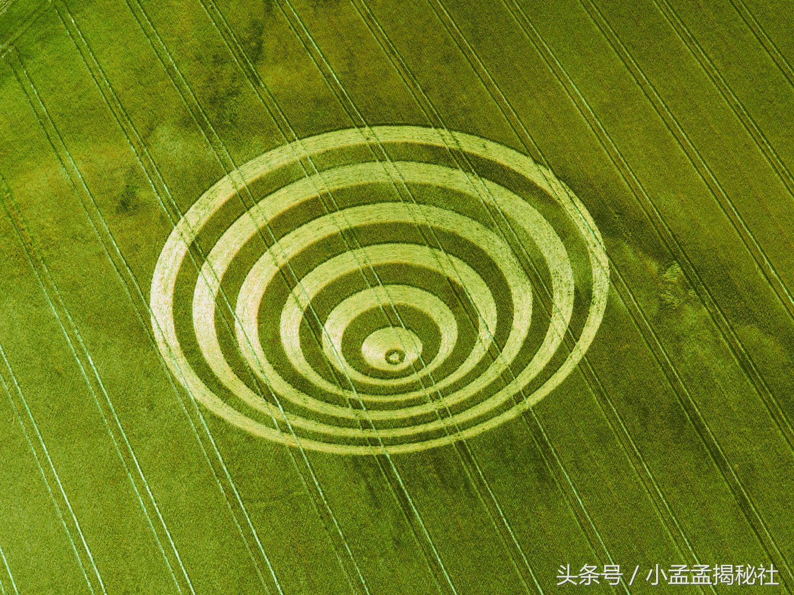麦田怪圈的真相真是外星人所为吗,麦田怪圈是人类弄的吗