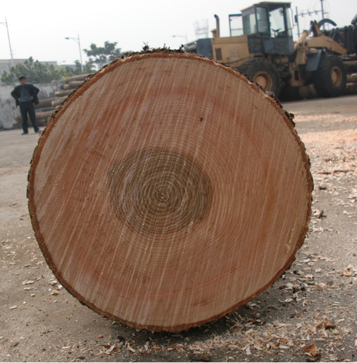 水曲柳更适合用来做哪种家具,水曲柳适合做美式家具吗