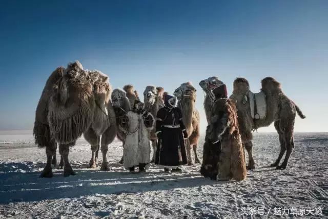 外国媒体报道蒙古国,国外报道蒙古族的视频