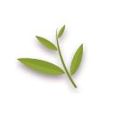 边塞奇遇记第九篇下,边塞奇遇记第10篇