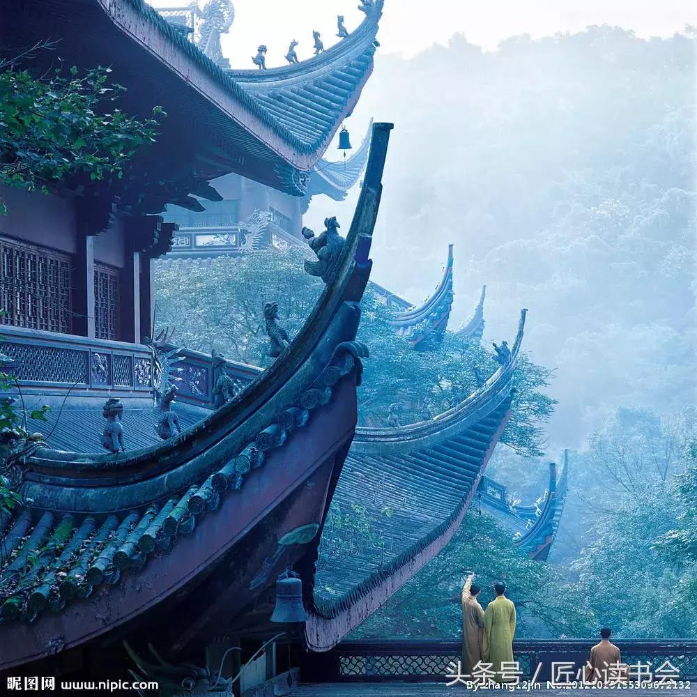 神奇的“生命之根”，长在四川华蓥山