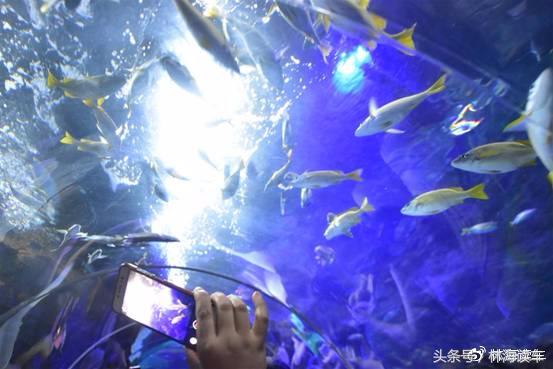 大连，我租辆B级车游山，1.5T、248元值不？