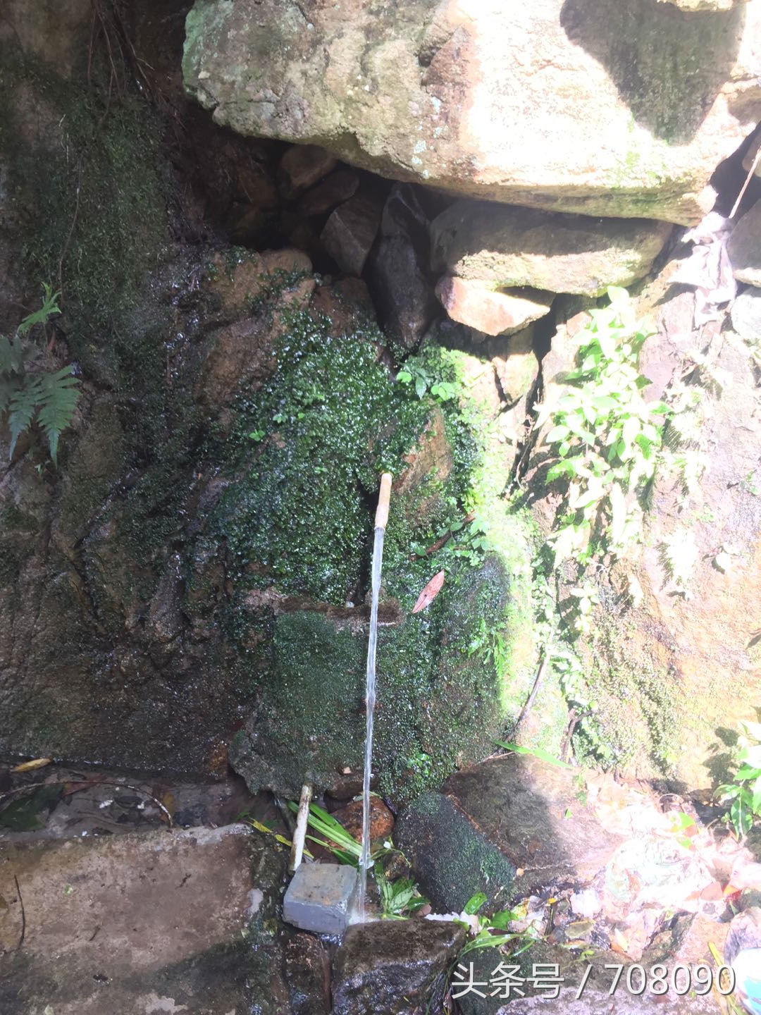 鼓山般若苑旅游攻略,鼓山般若苑网红景点