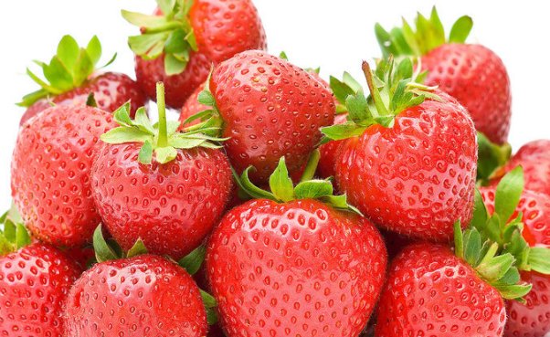 东港草莓之乡,东港草莓全国第一