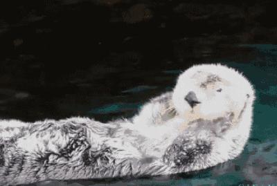 黑眼圈一直去不掉有其它原因吗,十几年黑眼圈去不掉是怎么回事