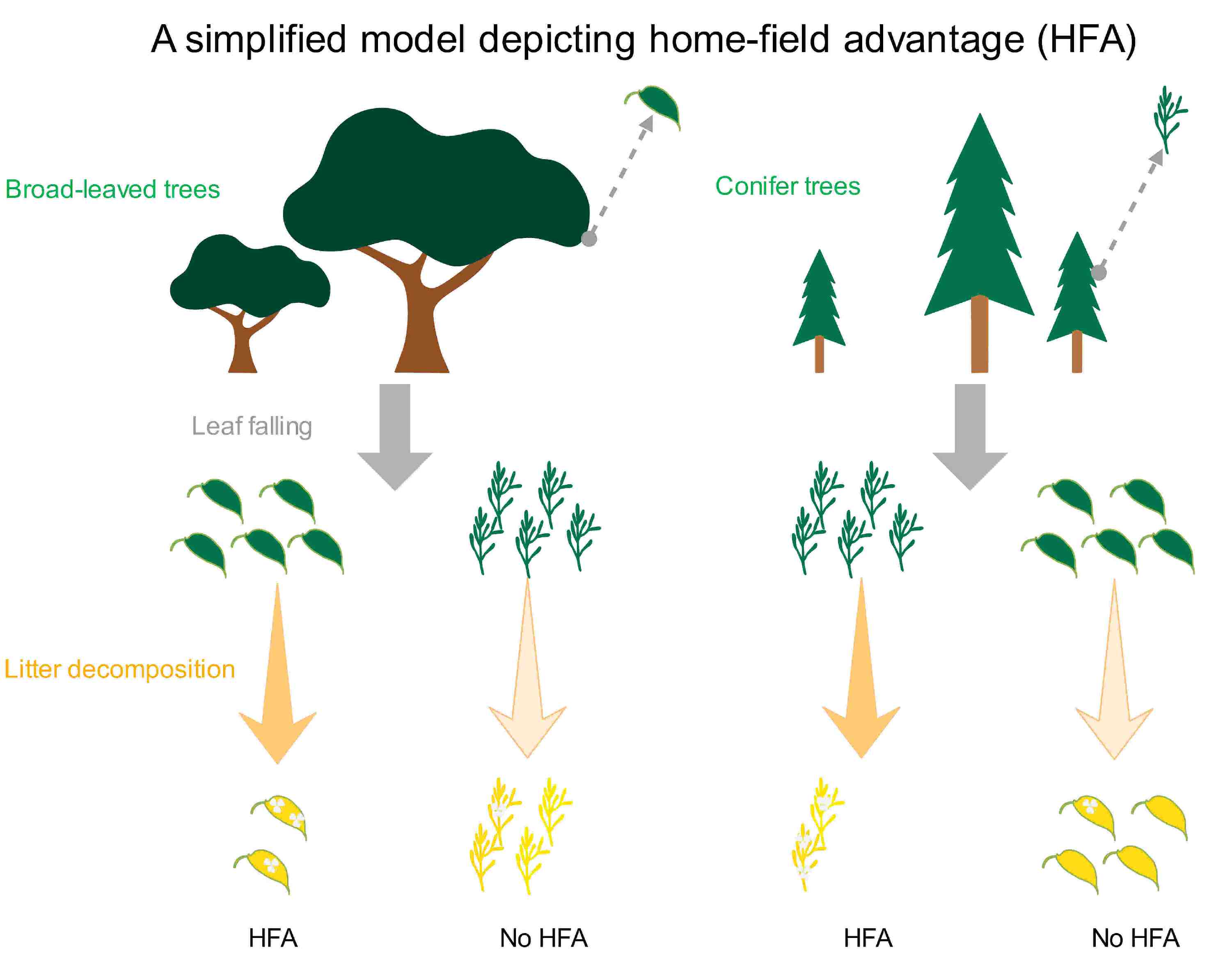 化作春泥更护花的哲理,化作春泥更护花给我们的启示