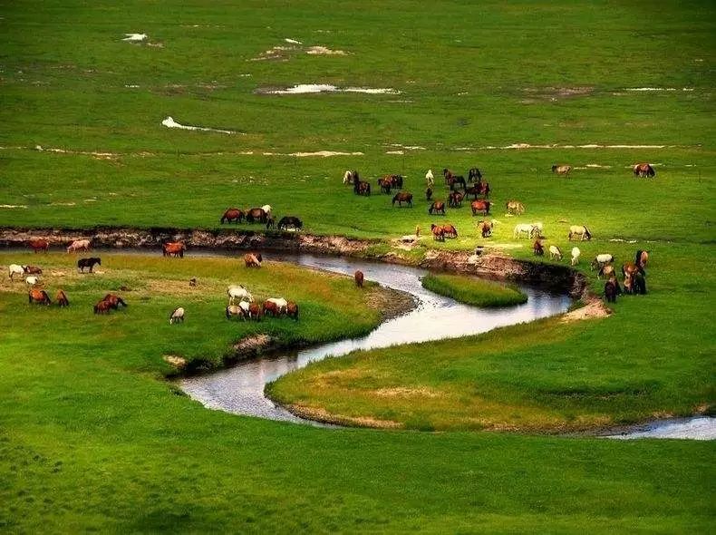 内蒙古十二盟市代码,内蒙古12盟市的名字是什么意思