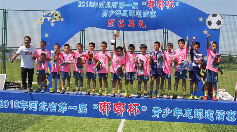 河北省嘟嘟杯,嘟嘟杯决赛