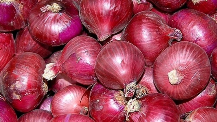 还买什么杀虫剂？只需一勺洗衣粉，蟑螂统统死光！