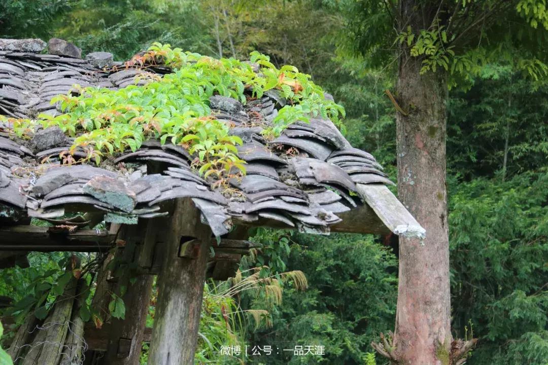 宋端宗、文天祥和红军都钟爱的明溪古村，我们有什么理由拒绝？