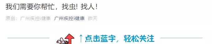 美洲锥虫病是怎么引起的,美洲锥虫病怎么传播的