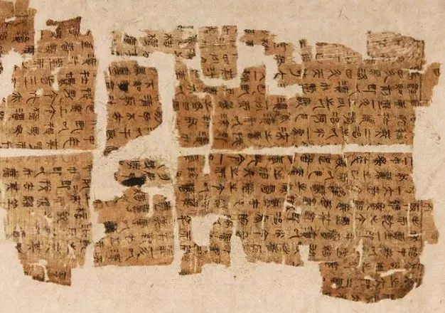 哪些洗发水中有危害成分,有哪些成分的洗发水要避雷