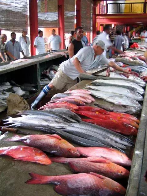 六个免签海岛颜值完爆马岱,值得去的海岛免签国家