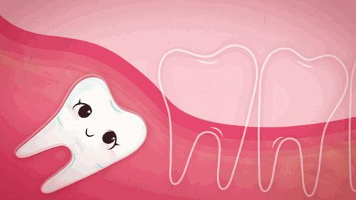 超实用的拔牙小技巧有哪些,拔牙知识图片