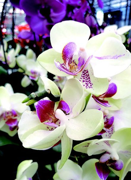 2021年农业农机展销会,2023年农机农产品展会