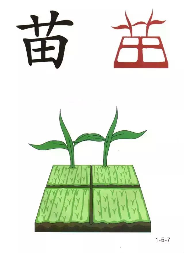 教一年级孩子快速识字的方法,6岁儿童识字认字学习视频