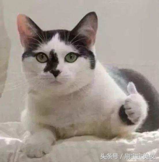 大s推荐的美白身体乳,大s左旋c美白精华