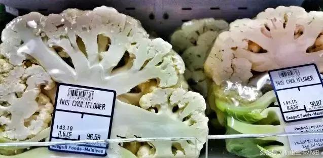 椹皵浠ｅか绂诲鐜囨渶楂樼殑鍥藉,澶╁爞鑳屽悗