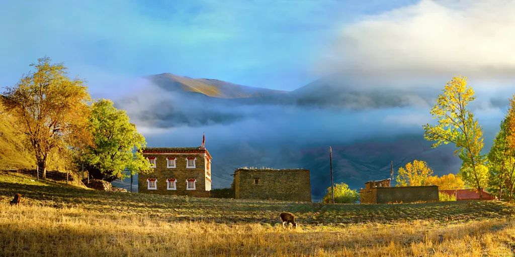 氧生度｜在巴塘，在高山海子之间跳起弦子唱起歌
