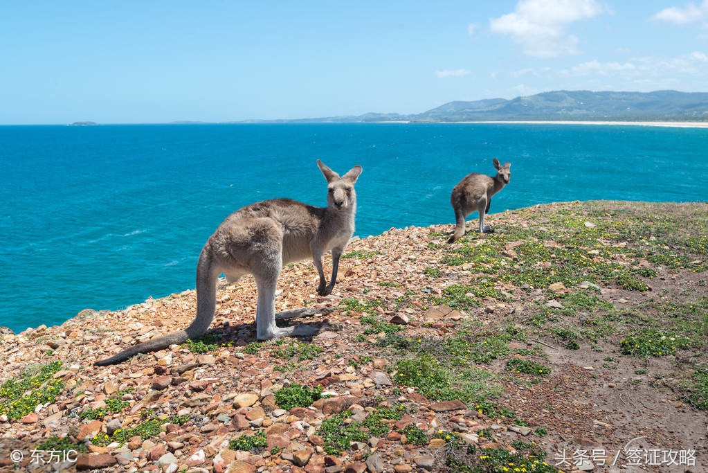 想去澳大利亚旅游手续怎样办,想要去澳大利亚需要准备什么