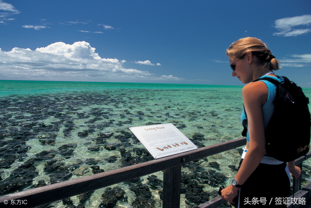 想去澳大利亚旅游手续怎样办,想要去澳大利亚需要准备什么