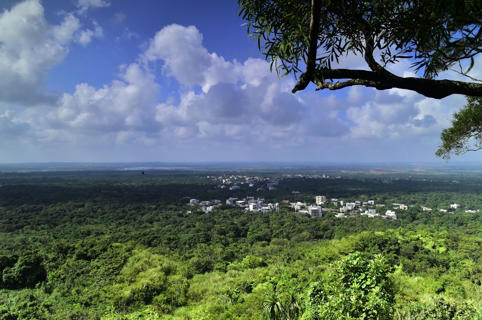 黄三哥广西,黄三哥的创作