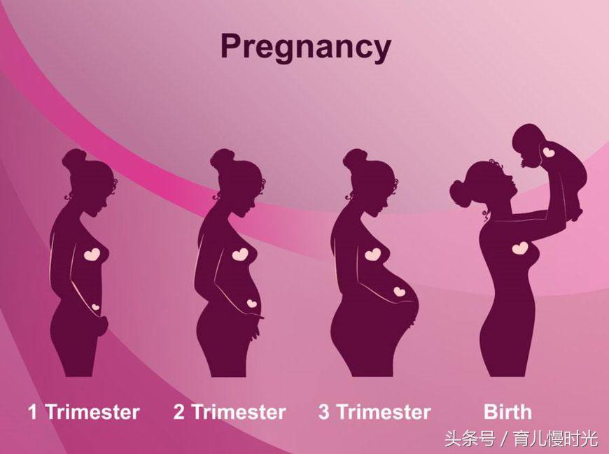 没有尔晴的怀孕神药，又该如何备孕生娃？三个月肯定不够