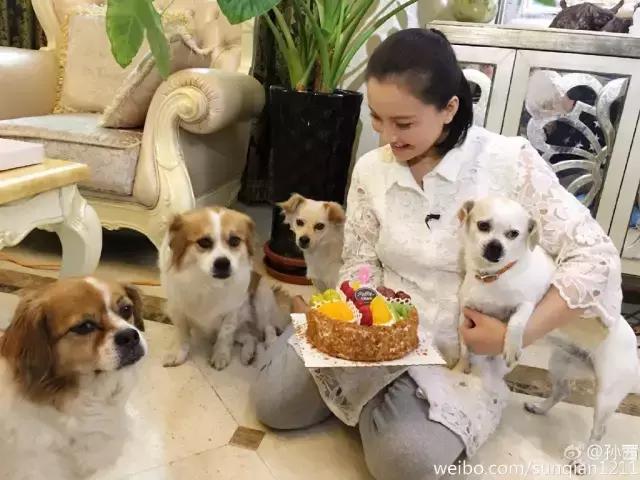 上干货！这些漂亮的女孩为何不馋肉？11位素食主义女星大起底