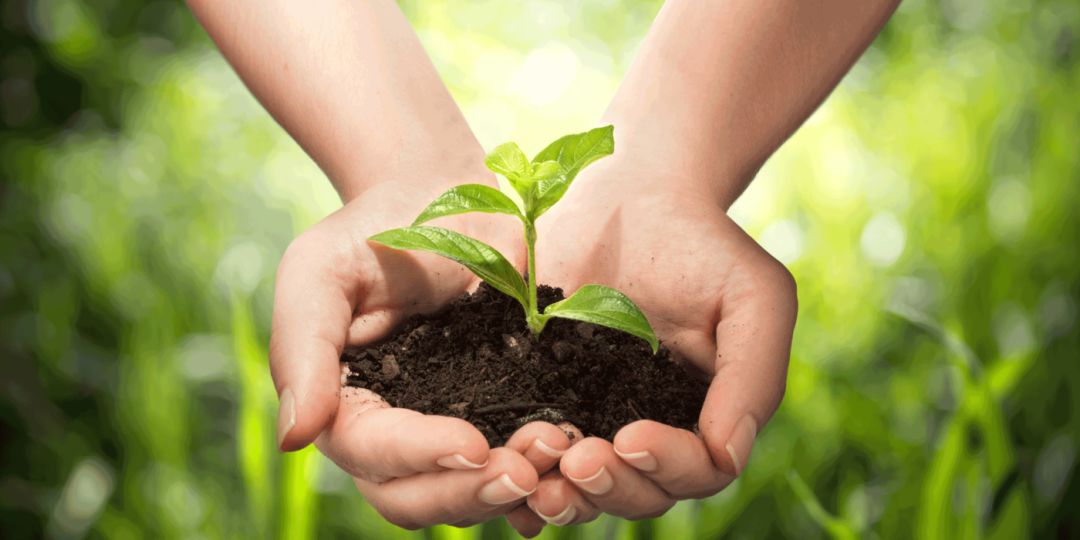 最新婴幼儿洗护用品评测,优质儿童洗护产品亲测