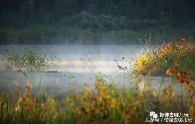 北京京城遛娃指南,北京又添一波遛娃新去处