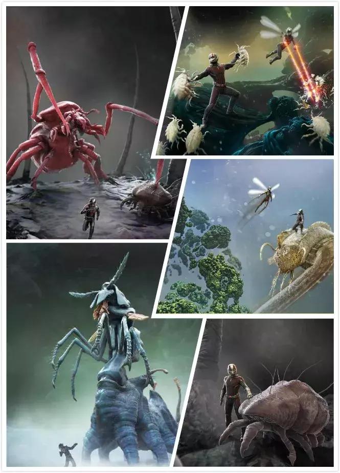 新摄影笔记观后感,新电影传奇观后感