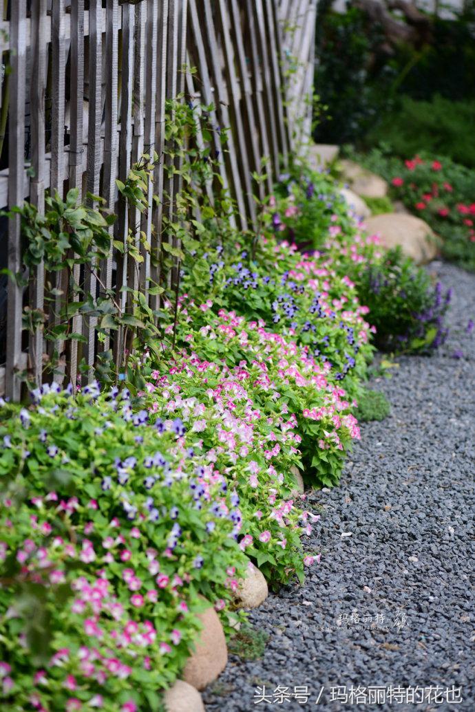 开满鲜花的小路教学设计一等奖,园丁培植万朵花