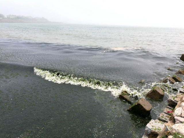 日照滨海小镇游玩攻略,日照滨海一日游