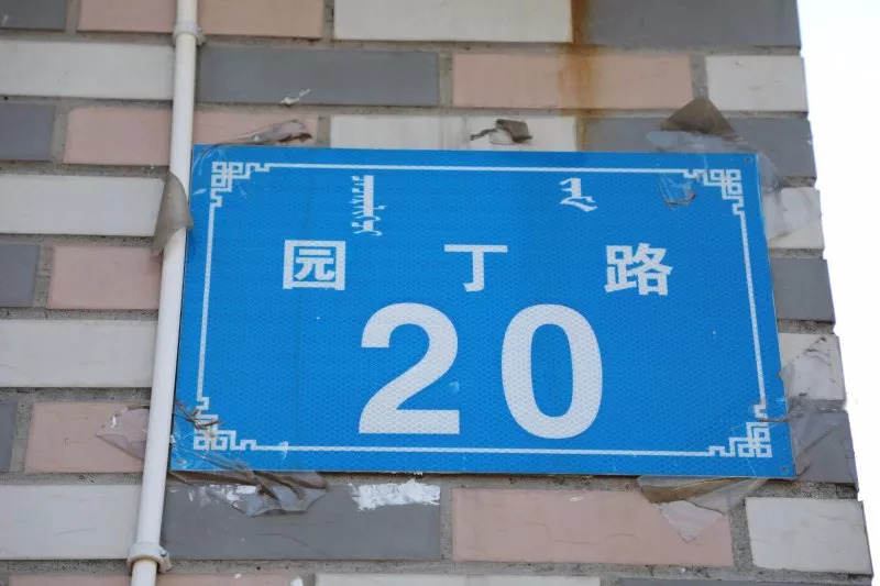 东胜的公立幼儿园有哪些,有了它你还怕迷路吗