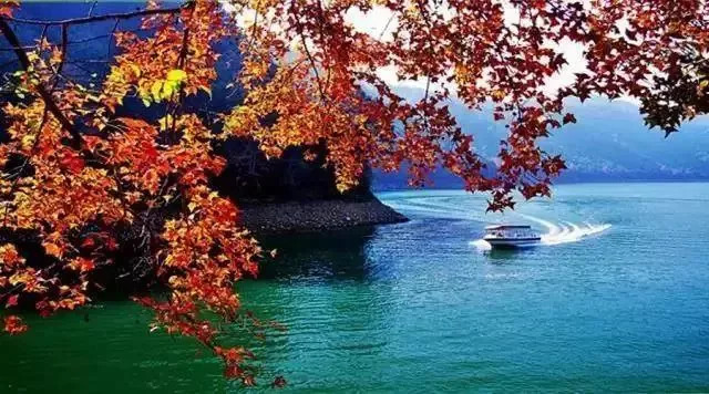 当巽寮湾五星遇上从化温泉!¥699=海王子亲海房+望谷国际公寓私家泡池房~还买1送1