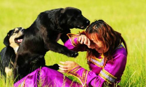 狗狗喜欢扑人怎么办,狗狗喜欢往人身上扑是怎么回事