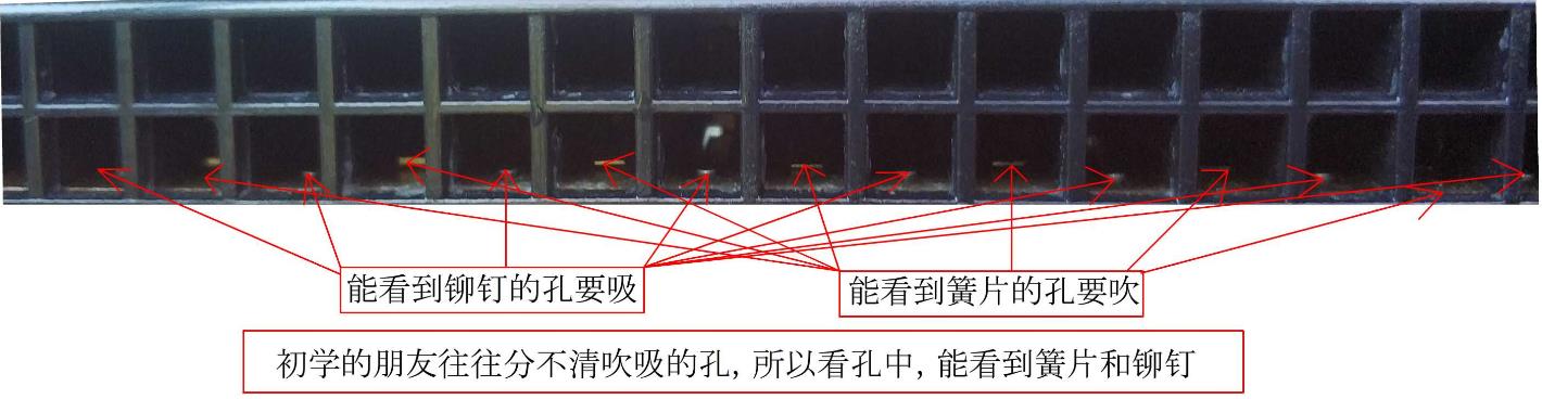从零开始学口琴免费,学口琴多久可以随便吹
