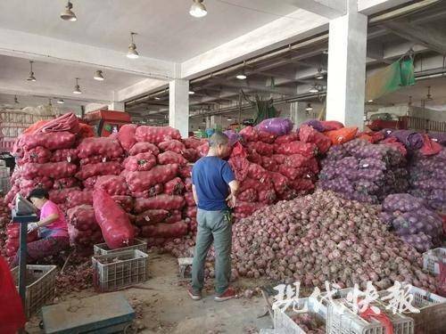 南京市菜篮子供应,南京本地菜篮子