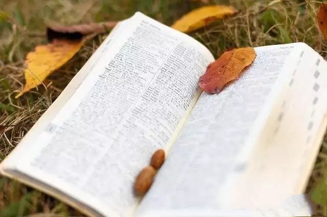 中考英语阅读理解高频词,中考英语高频词总结