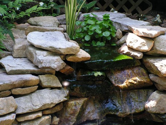 龟缸沼泽过滤系统视频,龟池沼泽过滤