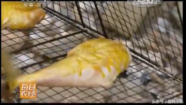 敢和毒蛇过招的动物,敢跟蛇较量的是什么动物