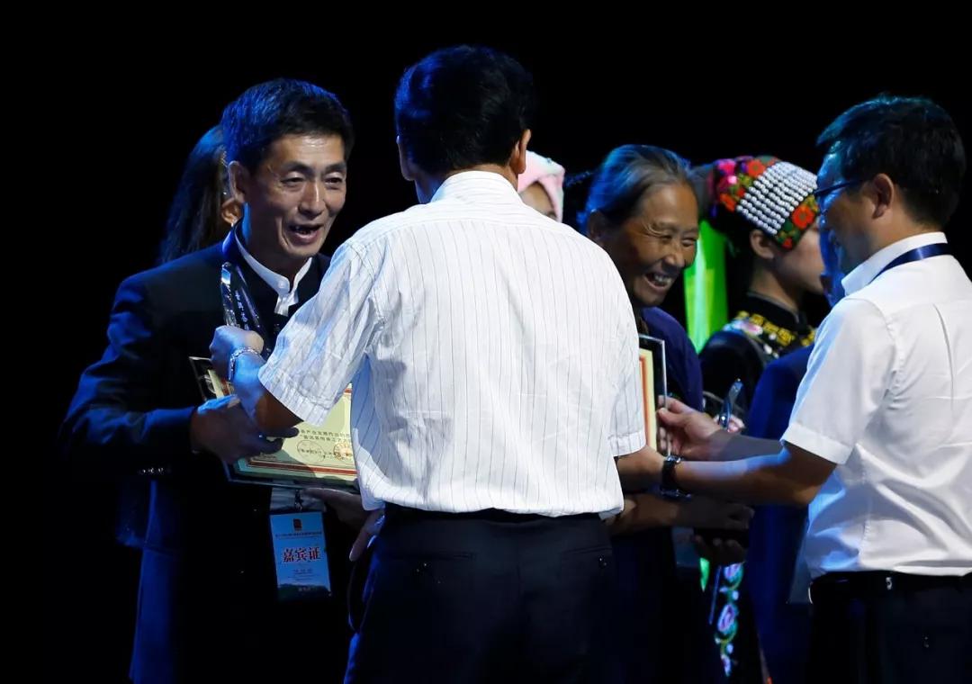 普洱茶大师卫宗成,普洱茶传承工艺大师排名