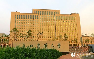东北农业大学巅峰,亚洲最大的大学东北农业大学