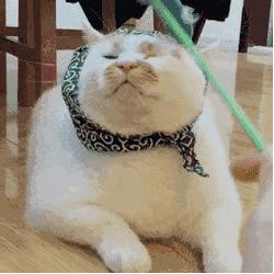 100块能买到的为何花1000块？cosme榜单好物告诉你大牌一样好替代