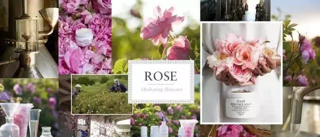 适合孕妇的网红产品,孕妇适合用的网红化妆品