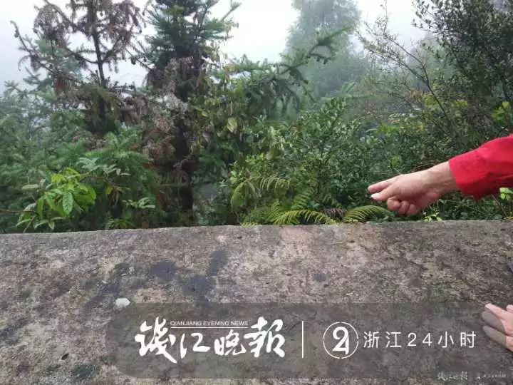 顺风车司机夺命事件,夺命顺风车司机