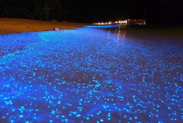 必须去沙巴的十个理由,去沙巴旅游的原因